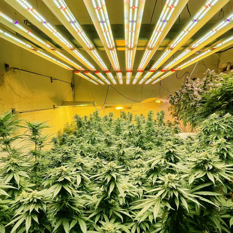 ParfactWorks ZE1000 (Canada ON SALE) LED Grow Bar Light (3 Channels Dimmable)
